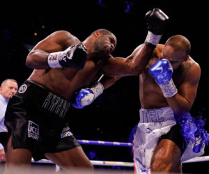 Krwawa walka Daniel Dubois Fabio Wardley o mistrzostwo świata