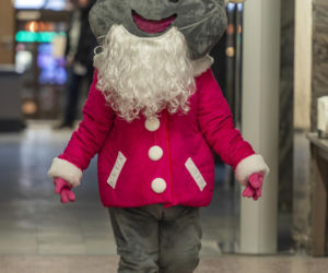 Zimą nie wszyscy mają odpowiedni poziom energii !!