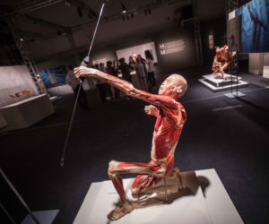 Bodies Revealed