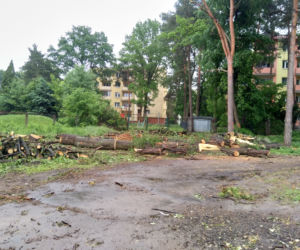 Rewitalizacja Pałacyku - Starachowice
