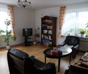 Zdjęcie 7254