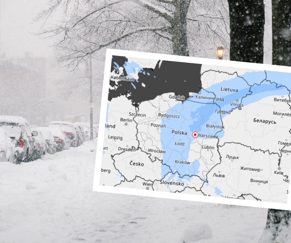 Śnieżyce uderzą w Polsce. IMGW ostrzega. Gdzie będzie najmocniej sypać? [LISTA WOJEWÓDZTW]