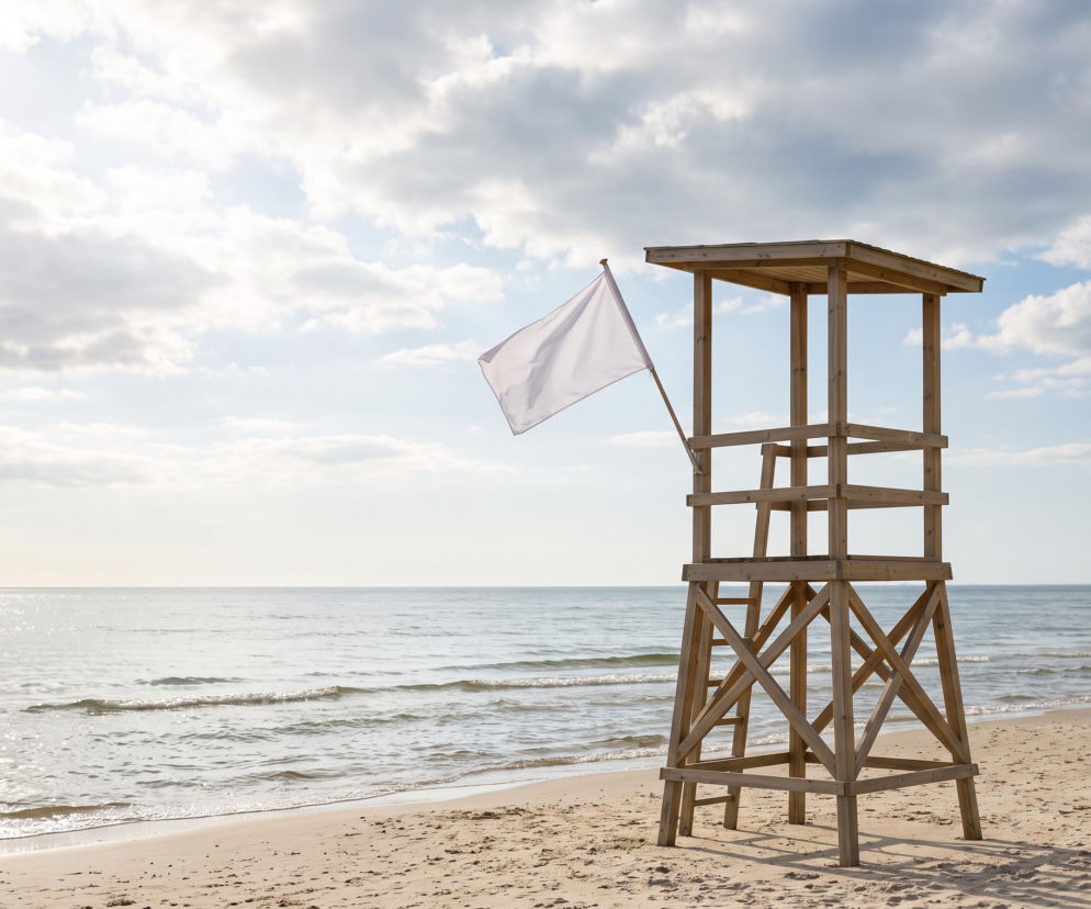 Sinice Gdynia. Czy w Gdyni można się kąpać 04.08? Flaga, warunki pogodowe