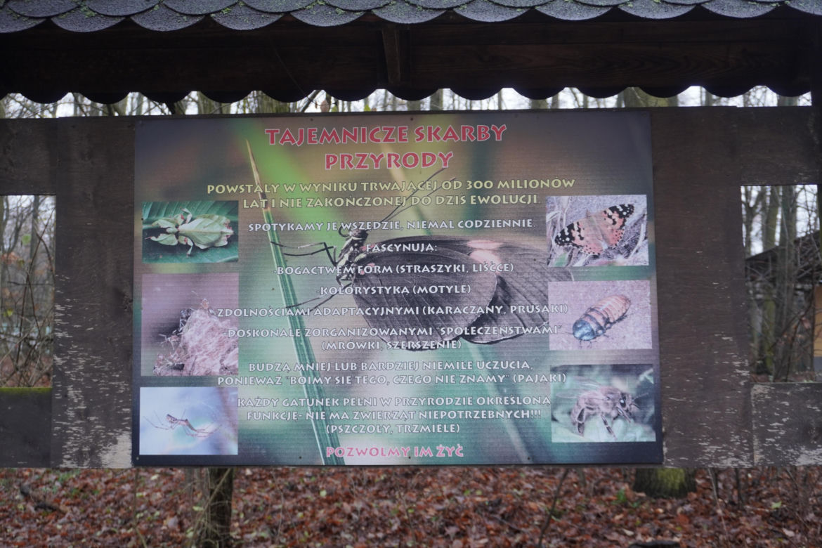 Zoo w Poznaniu zimą