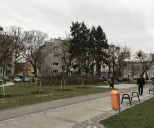 PGE Toruń wspiera zieleń i zagrożone gatunki zwierząt!