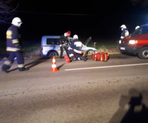Łódzkie: Potężny ŁOŚ wbiegł wprost pod auto! Dramatyczne skutki zderzenia
