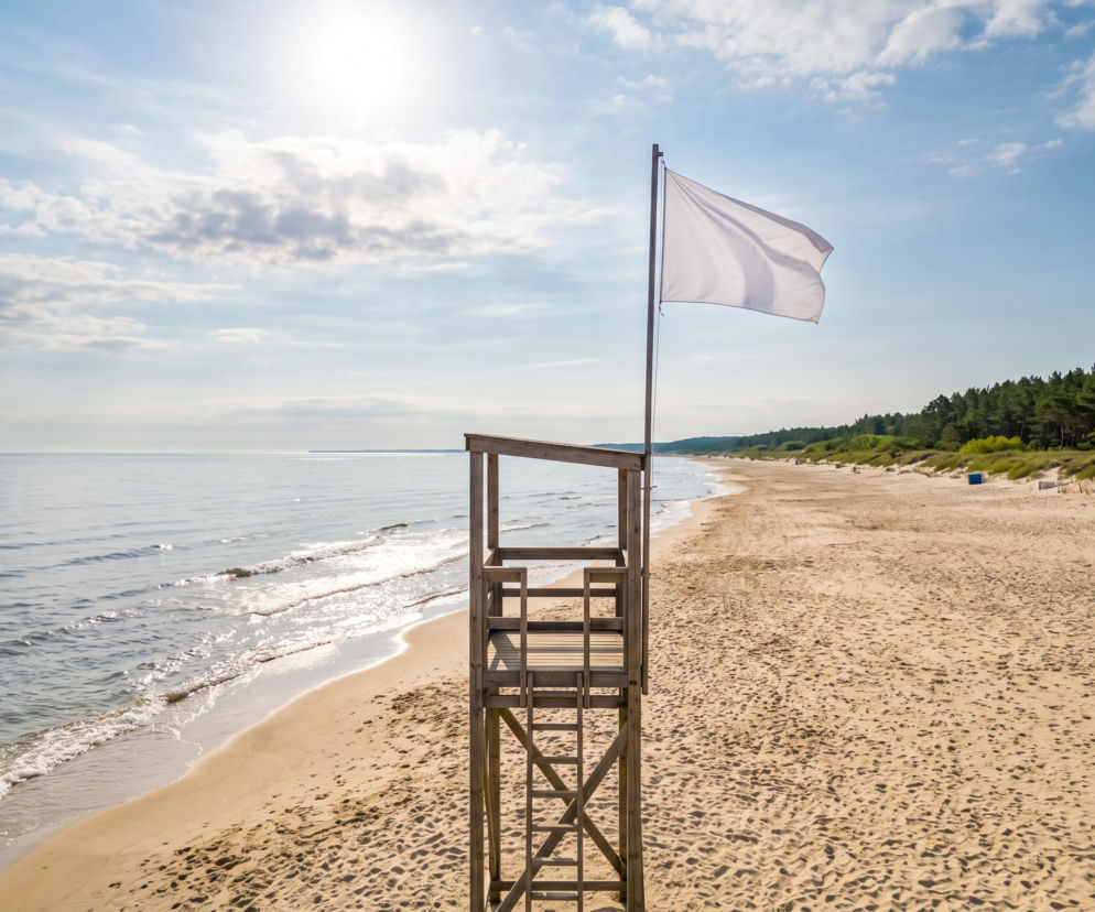 Sinice Stegna. Czy w Stegnie można się kąpać 27.08? Flaga, warunki pogodowe