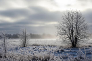Co za początek grudnia w Bełchatowie 02.12.2025! Ten mróz zmrozi Cię do szpiku kości!