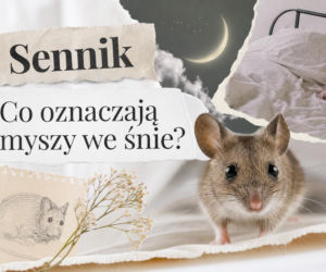 Myszy we śnie: znaczenie snu. Kiedy to ostrzeżenie?