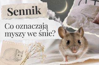 Myszy we śnie: znaczenie snu. Kiedy to ostrzeżenie?
