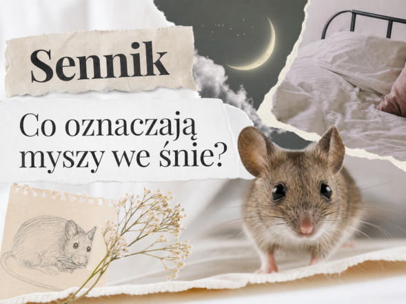 Myszy we śnie: znaczenie snu. Kiedy to ostrzeżenie?
