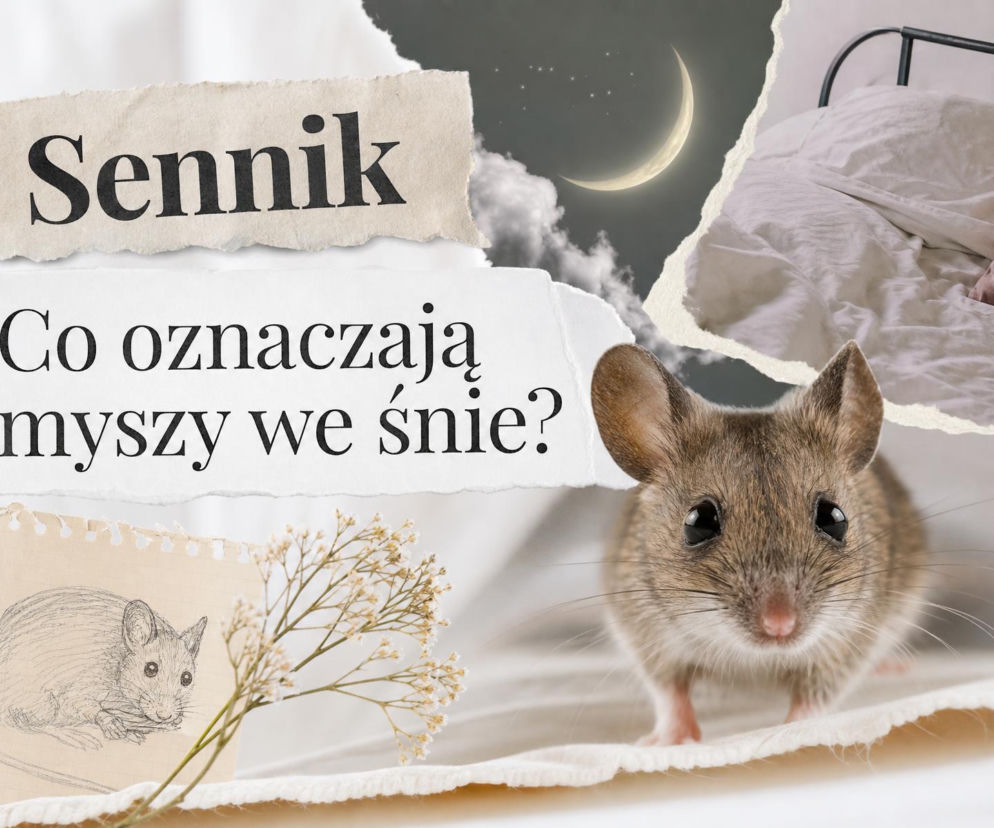 Mysz na pościeli, w tle księżyc i łóżko. O tym, co oznaczają myszy we śnie, przeczytasz na SE.