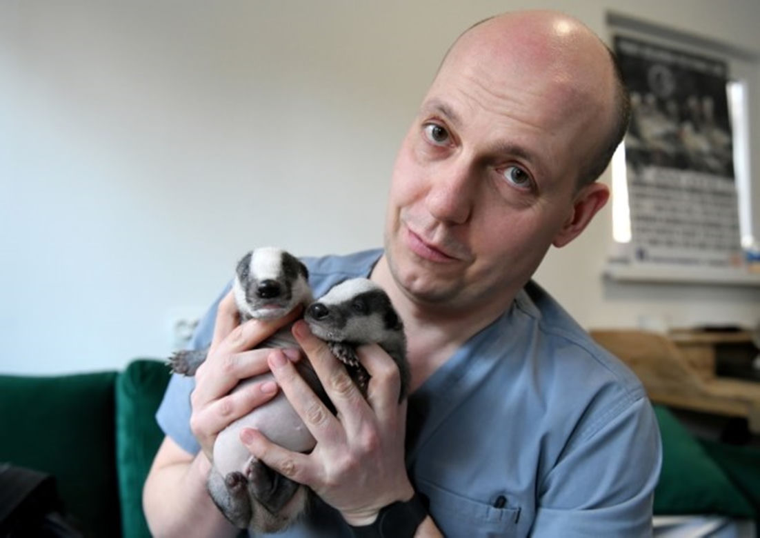 Wykarmił borsuczki jak własne dzieci