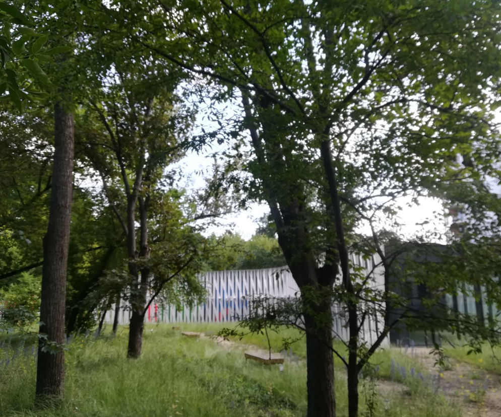 Centrum Lokalne pl Grunwaldzki