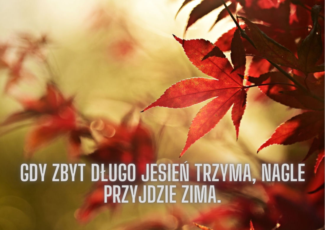 Jesienne przysłowia ludowe. Oto mądrości naszych dziadów!