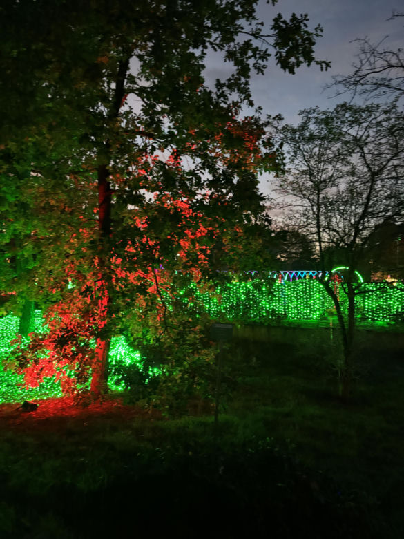 Otwarcie Lumina Parku w Poznaniu. Tegoroczne świecące miasteczko robi fenomenalne wrażenie!