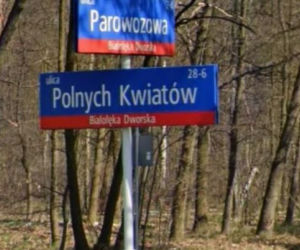 Oto najbardziej wiosenne ulice w stolicy! Tu wiosna trwa cały rok!