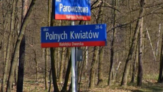 Oto najbardziej "wiosenne" ulice w stolicy! Tu wiosna trwa cały rok!
