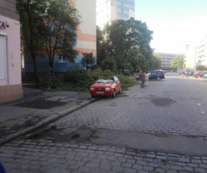 Burza przeszła przez Wrocław