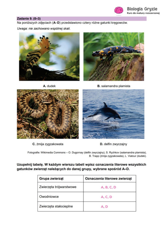 Matura próbna 2026 - biologia. Wszystkie odpowiedzi do arkusza CKE z biologii 14.01.2026