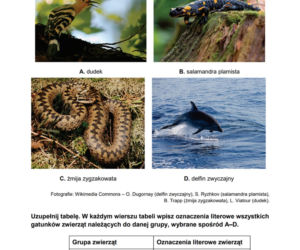 Matura próbna 2026 - biologia. Wszystkie odpowiedzi do arkusza CKE z biologii 14.01.2026