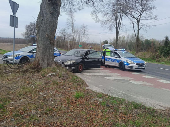 Pościg pod Staszowem. Ucieczkę 36-latka zakończyło drzewo
