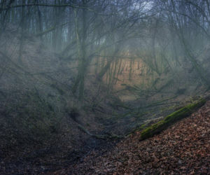 Tu mogą leżeć skarby warte miliony. Poszukiwacze wskazują Dolny Śląsk