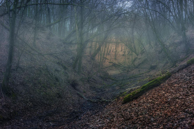 Tu mogą leżeć skarby warte miliony. Poszukiwacze wskazują Dolny Śląsk