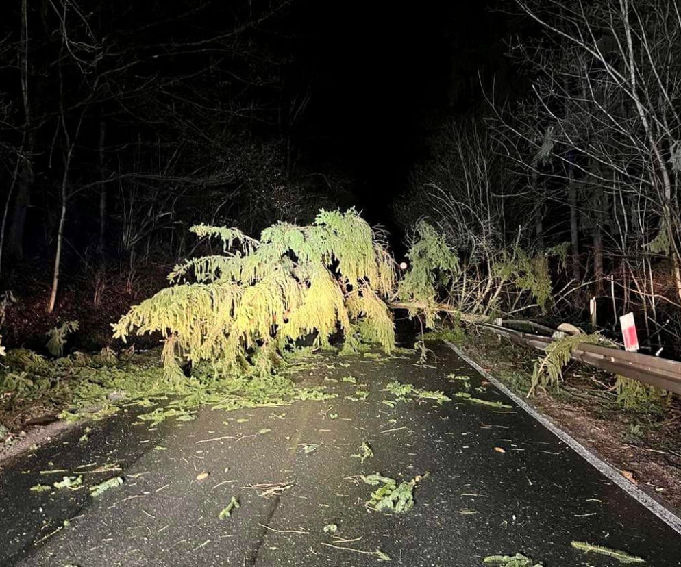 Orkan Nadia uderzył w Dolny Śląsk. Na Śnieżce wiało 195 km/h