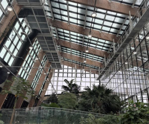 Egzotarium w Sosnowcu