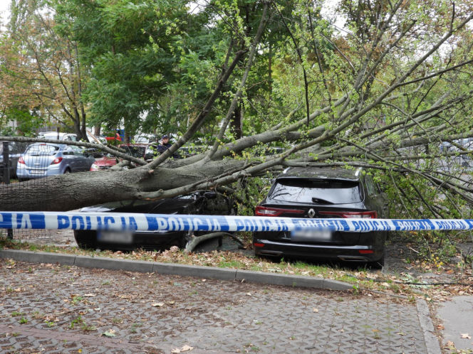Potworne skutki wichury w Warszawie
