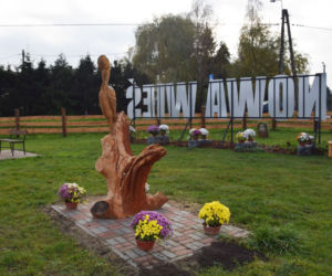 Wyjątkowo kolorowa jesień w Gminie Iława. Wszędzie chryzantemny!