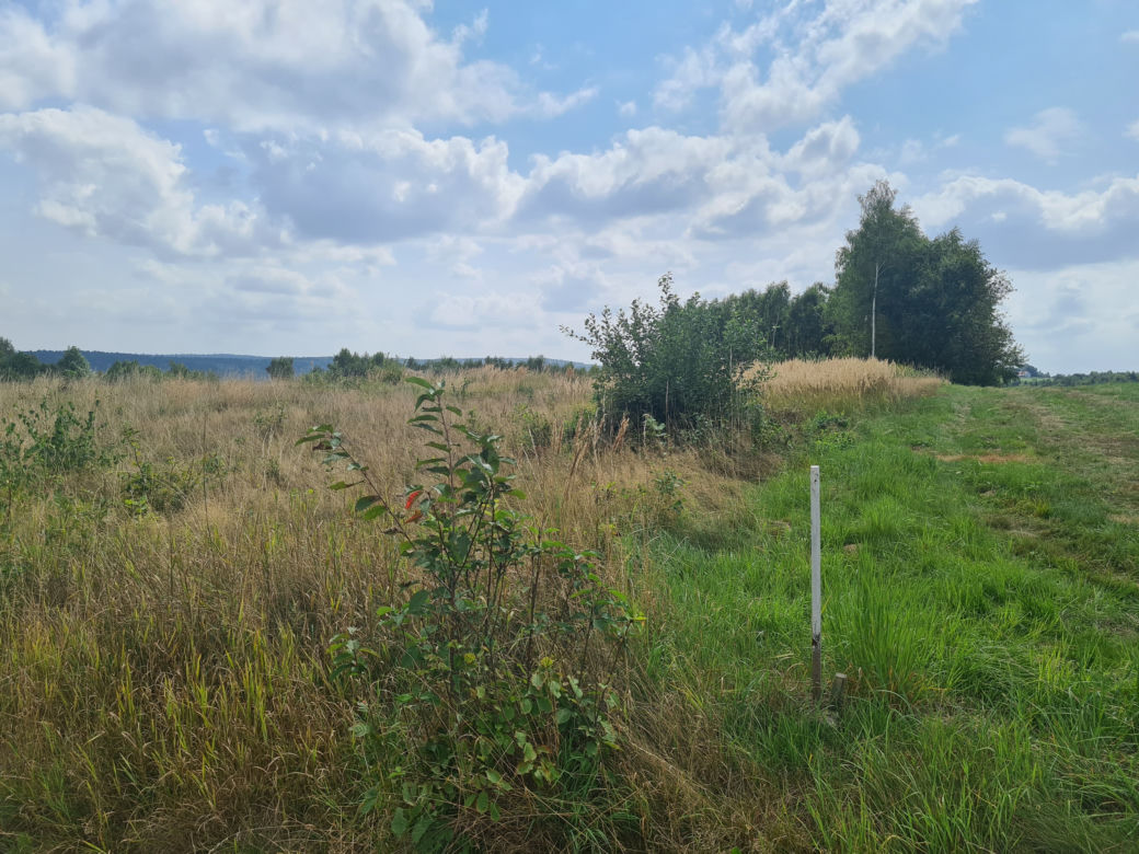 Zabójstwo w Sołonce. Mąż miał zabić żonę [GALERIA]