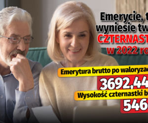 Emerycie, tyle wyniesie twoja czternastka w 2022 roku!