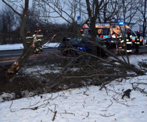 Tarnów. Młody kierowca ROZBIŁ bmw na przydrożnym drzewie. Z wypadku wyszedł niemal bez szwanku