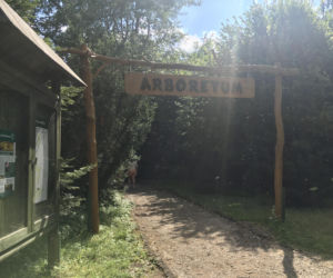 Arboretum w Marculach