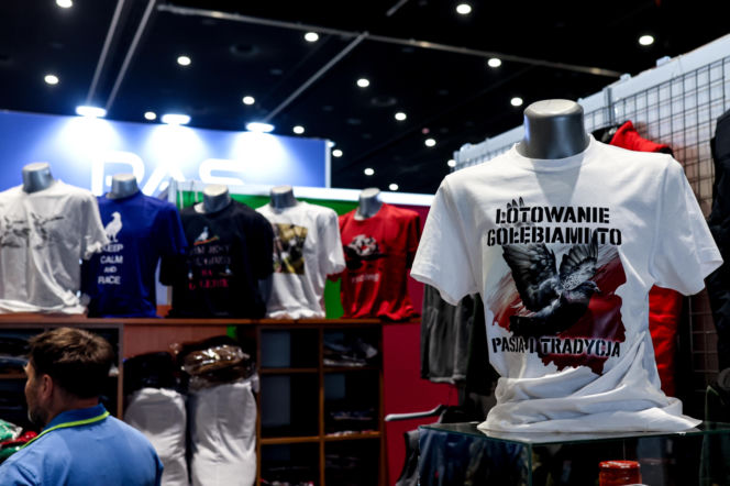 Katowice stolicą gołębiarstwa. Za nami 17. edycja EXPOGołębie. To największa tego typu impreza w Europie