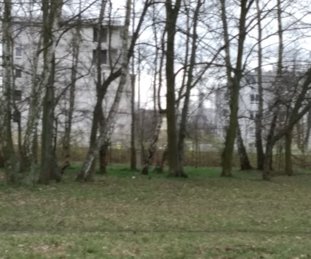 gorzów
