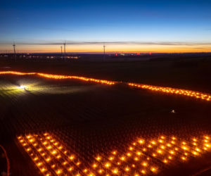 Przymrozki w winnicy - podgrzewanie winorośli