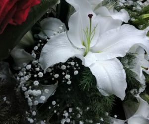 Tragedia w Salisbury. Zamordowane kobiety pochowane w Tarnowie. Grobu nie widać spod kwiatów