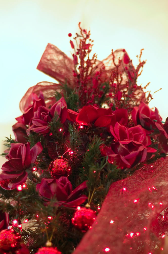 Choinka w kolorze bordo