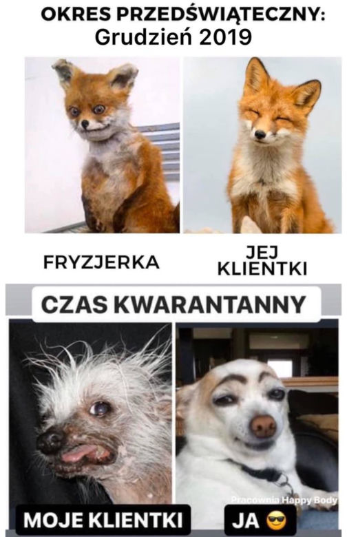 Fryzjerzy kontra koronawirus. Te memy bawią do łez