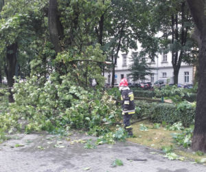 Nawałnica przeszła nad Krakowem: Zalane ulice, powalone drzewa, utrudnienia w komunikacji