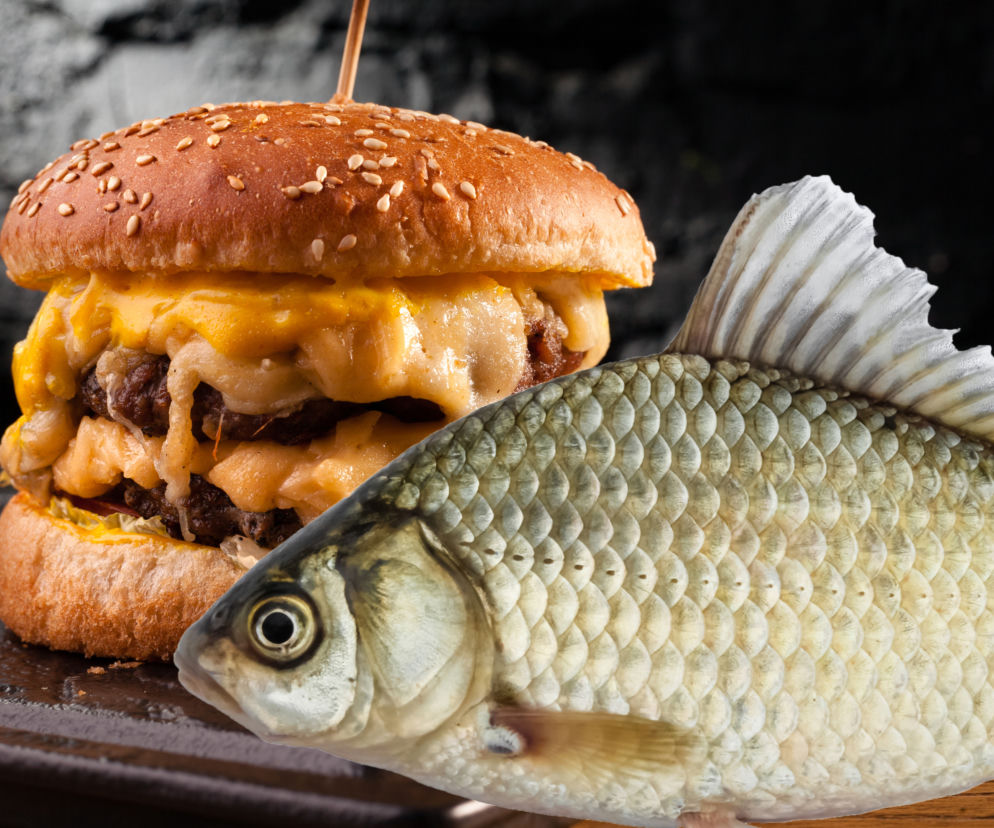 Szok! Ta ryba wygląda jak cheeseburger z zębami. Przerażające odkrycie rybaka