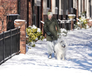 Cyklon bombowy uderza w Amerykę! Już 101 ofiar