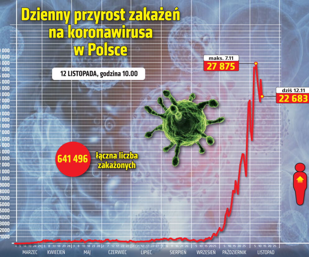 Koronawirus w Polsce, 12.11.2020