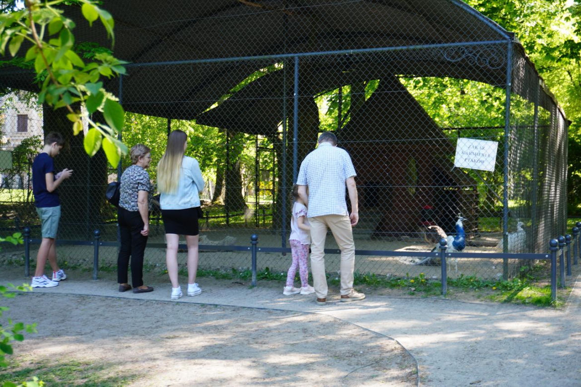 Ogród Saski w Lublinie