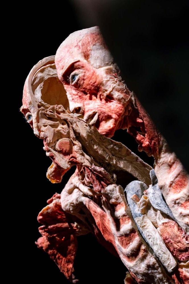 Body Worlds