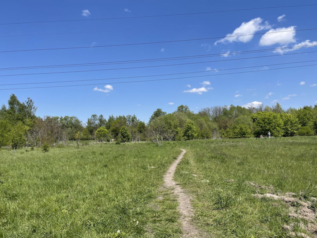 Najdłuższy park w Polsce jest w Krakowie. Ledwo widać go na mapach, a jest pełen atrakcji