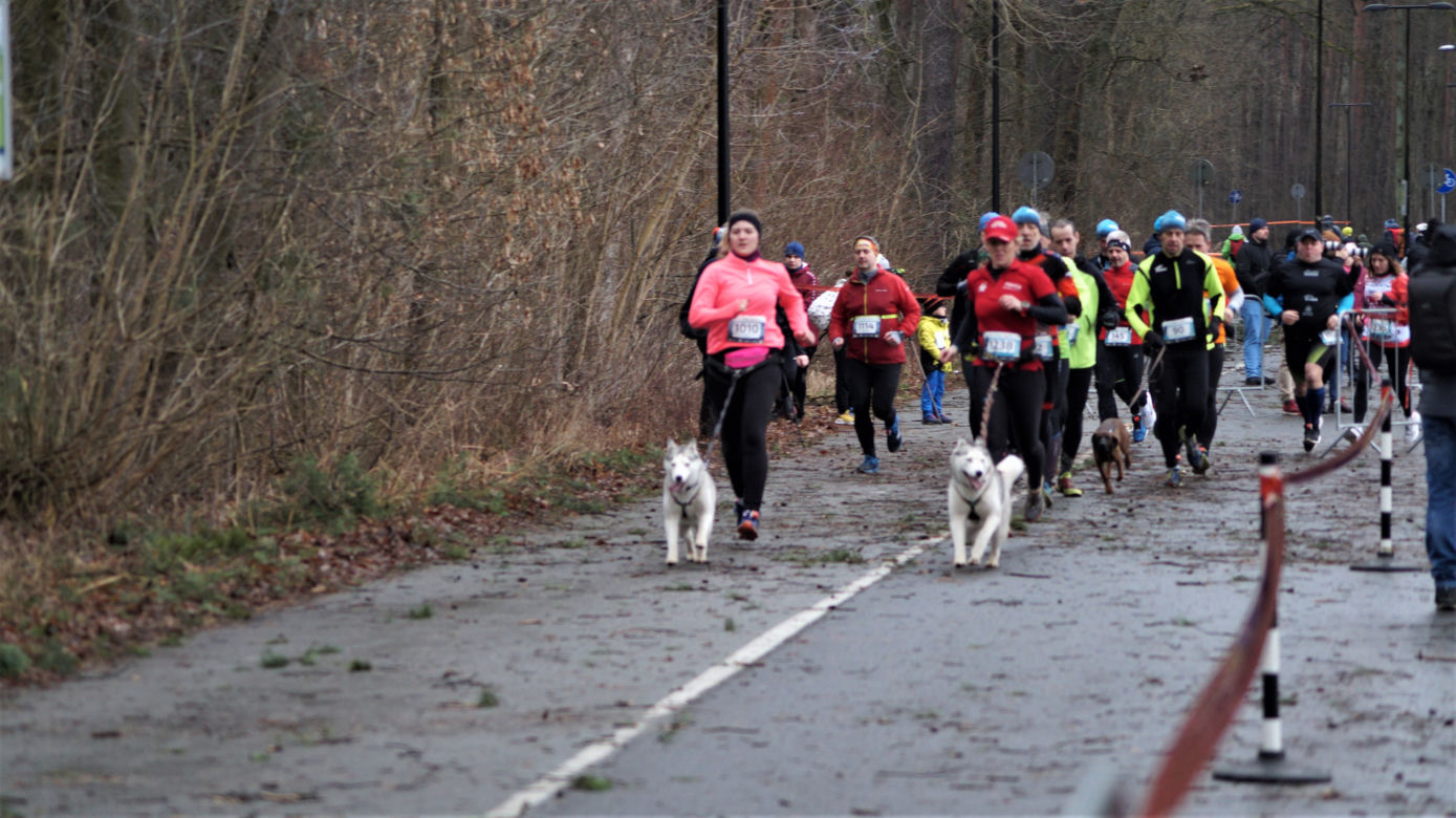 Bieg City TRAIL 2022 w bydgoskim Myślęcinku [ZDJĘCIA]